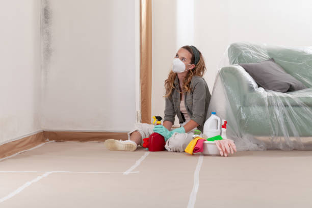 Reliable Black Mold Remediation contractor in Comer, GA by 24 Hour Mold Removal